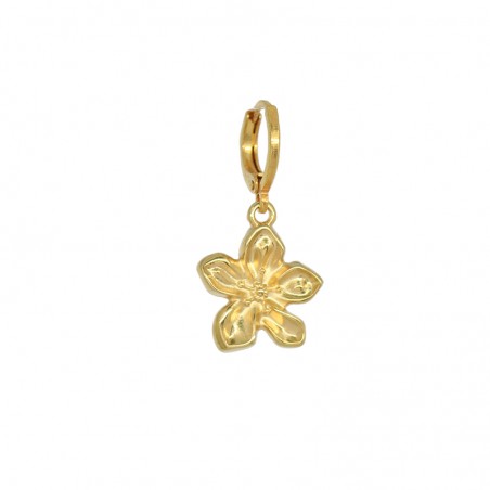 MONO boucle PETU 01